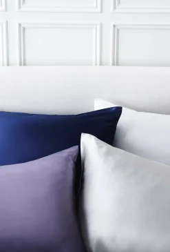 Silk Organic Standard Pillow Case*Jasper Conran Best Sale